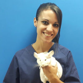 VetCare Hospital Veterinario
